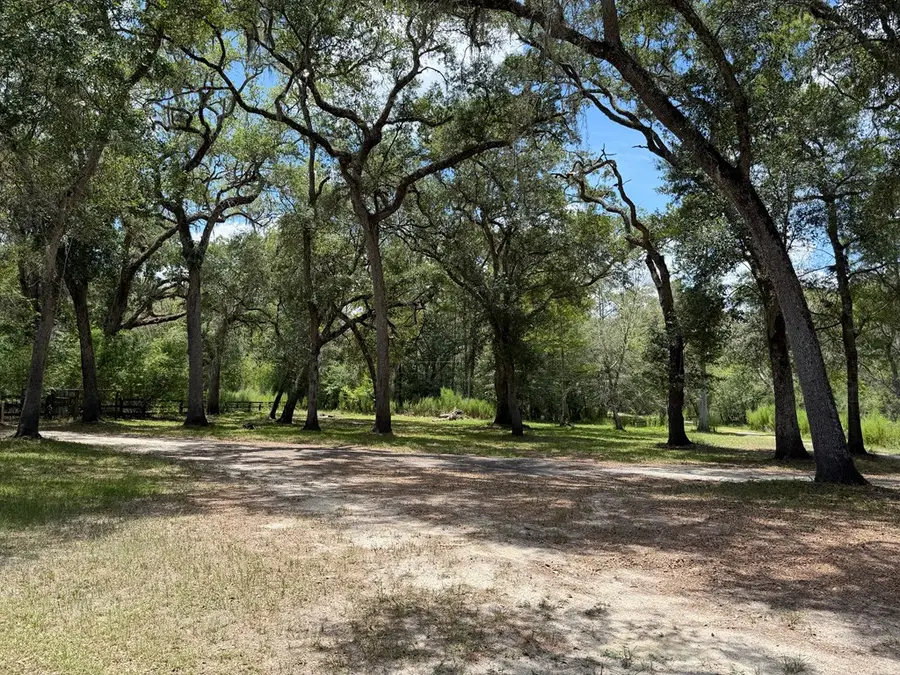 1587 NE 930th St, Old Town, FL 32680 - #2