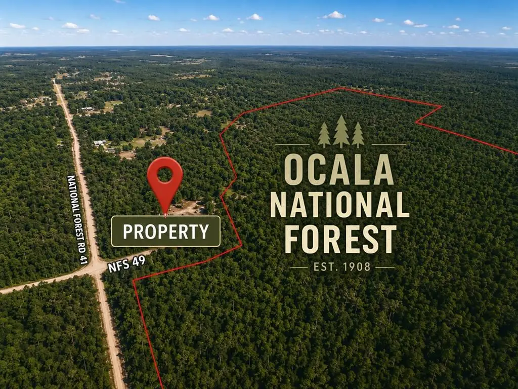 240 National Forest Rd 41, Palatka, FL 32177 - #1