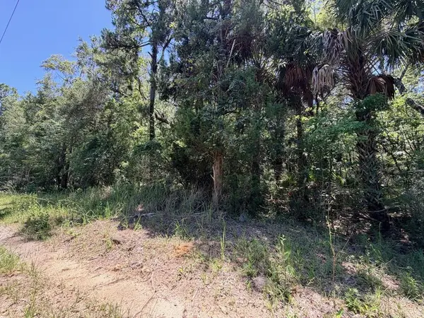 0 SE Hwy 19, Inglis, FL 34449
