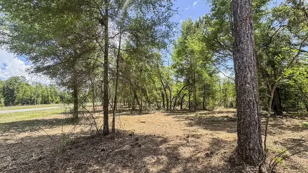 NE 75th St, Williston, FL 32696