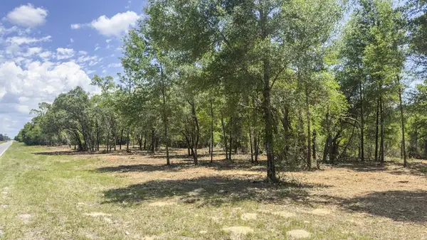 NE 75th St, Williston, FL 32696