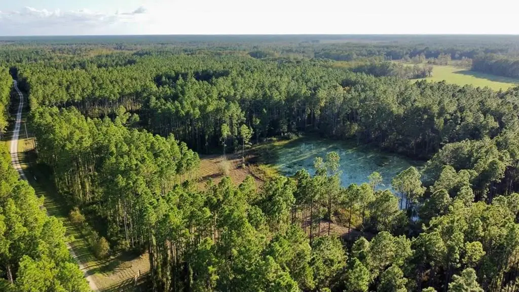 00 Waters Pond Rd, Chiefland, FL 32626 - #1