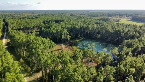 00 Waters Pond Rd, Chiefland, FL 32626