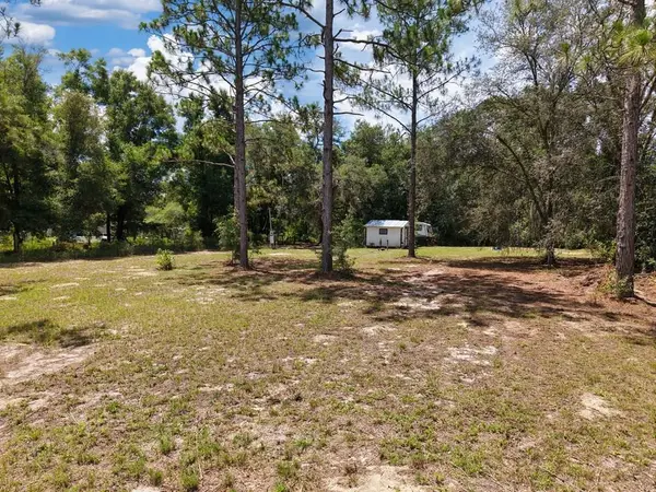 54 NE 841st Ave, Old Town, FL 32680