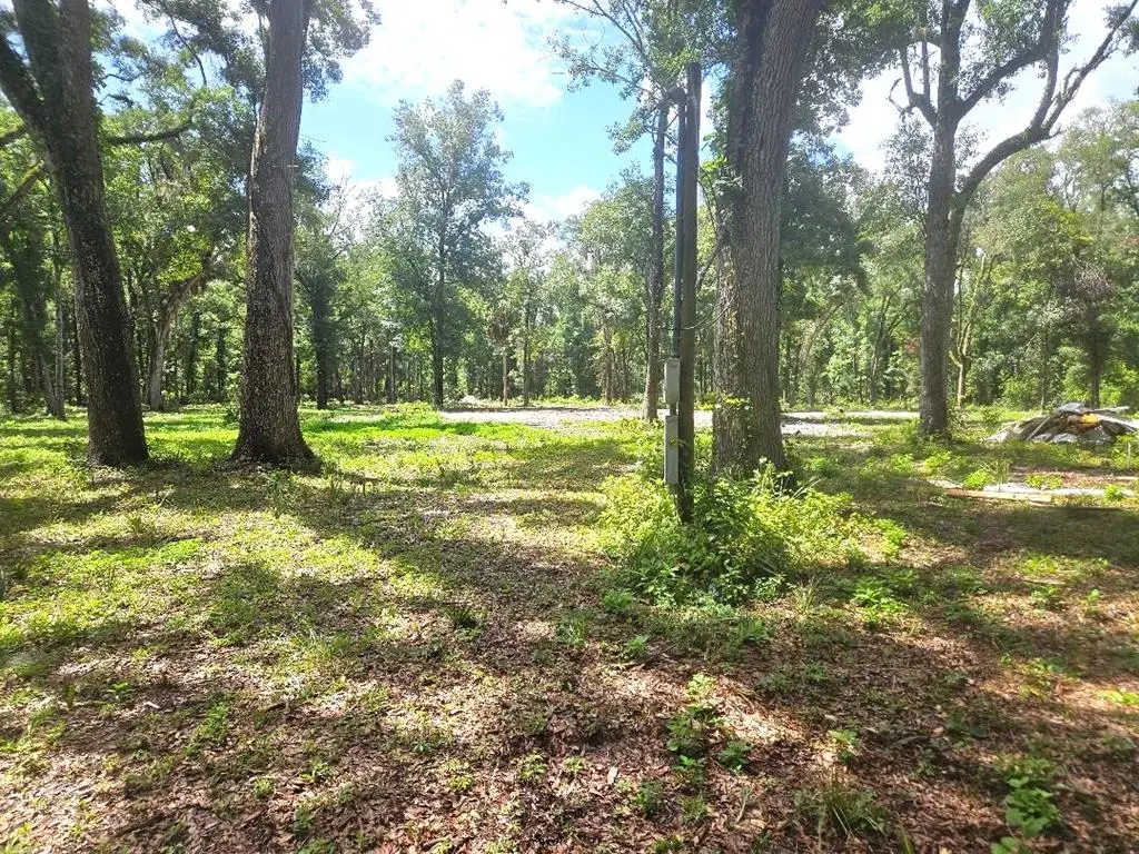 510 NE 249th Ave, Old Town, FL 32680 - #1