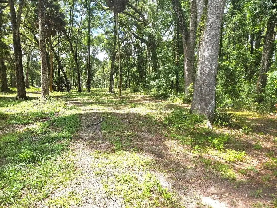 510 NE 249th Ave, Old Town, FL 32680 - #3