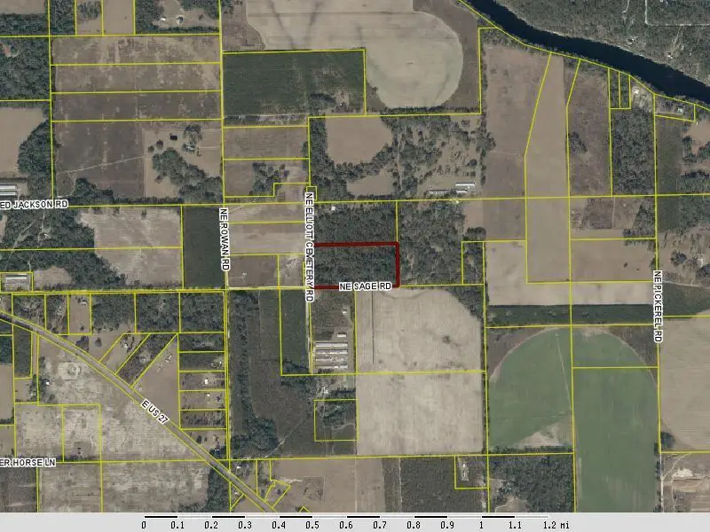 NE Sage Rd, Mayo, FL 32066 - #2