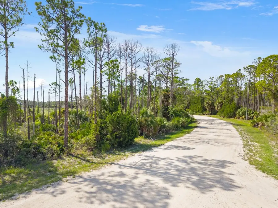 000 SW 153rd Ter, Cedar Key, FL 32625 - #3