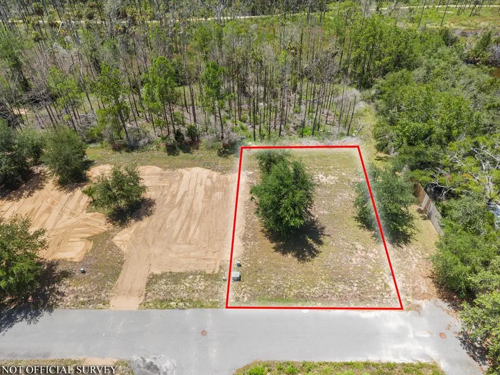 SW 294th Ave, Steinhatchee, FL 32359 - #1