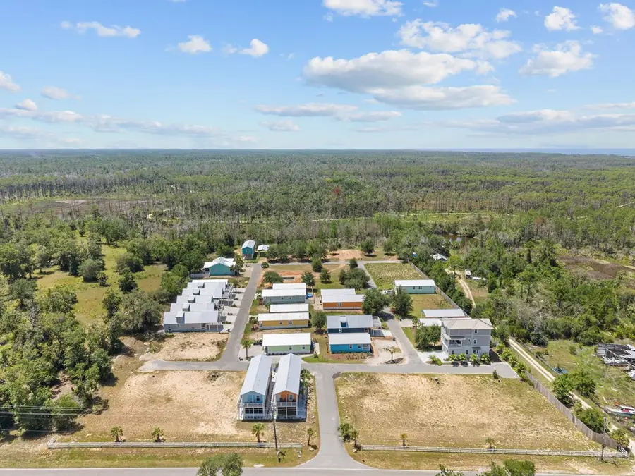 SW 294th Ave, Steinhatchee, FL 32359 - #3