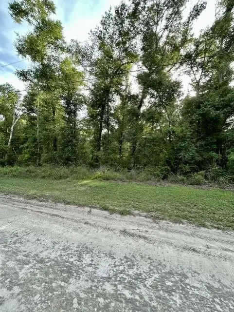 NE Hollywood Blvd, Mayo, FL 32066 - #1