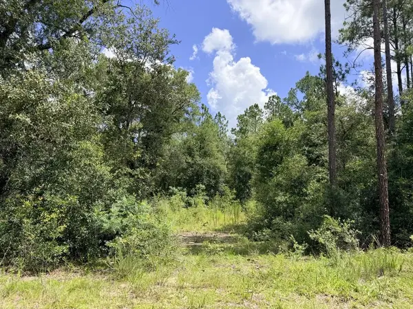 0 NE 77th Pl, Bronson, FL 32621