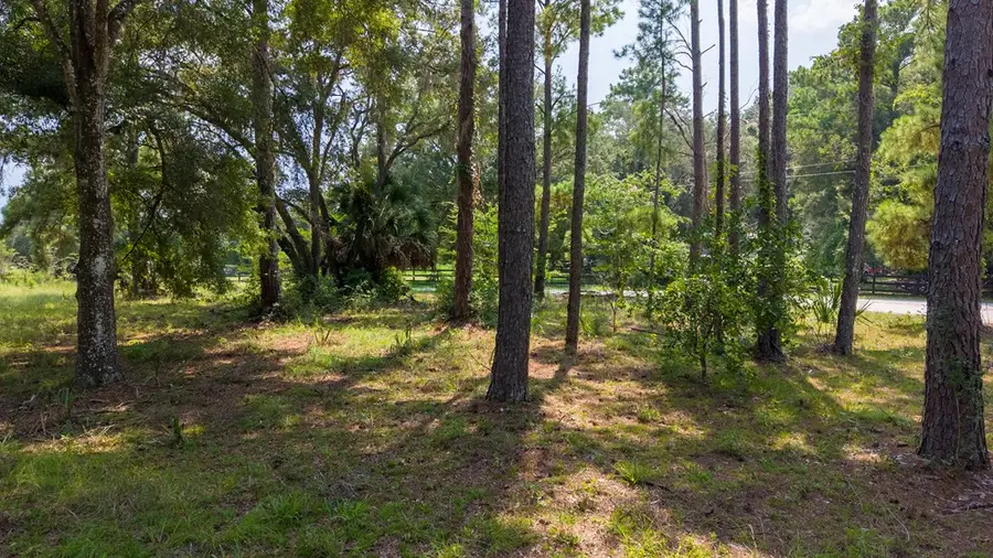 1369 NE 824th St, Old Town, FL 32680 - #3