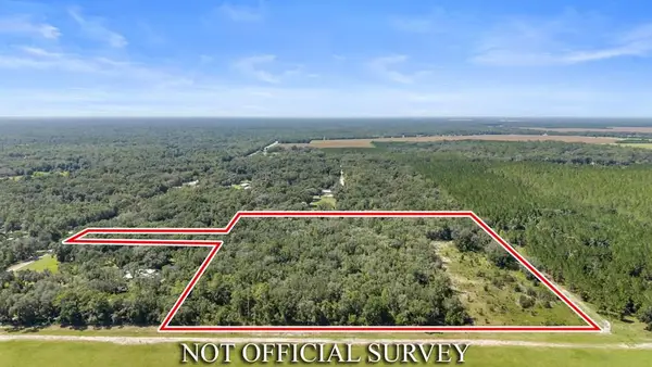 NE Hwy 353, Old Town, FL 32680