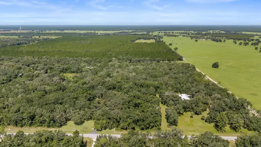 NE Hwy 353, Old Town, FL 32680 - #2