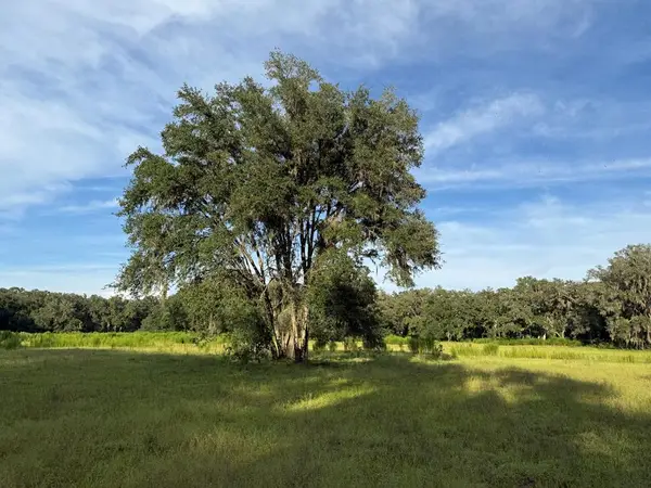 TBD NE 489th St, Old Town, FL 32680