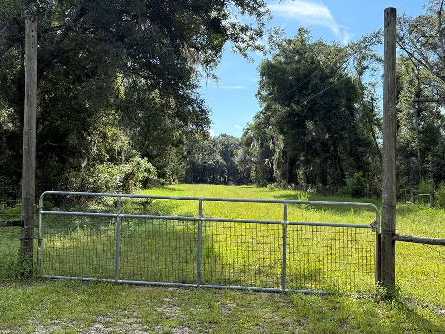 TBD NE 489th St, Old Town, FL 32680 - #2