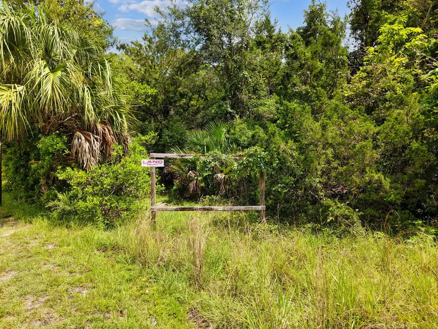 Lt 15-28 S Main St, Chiefland, FL 32626 - #3