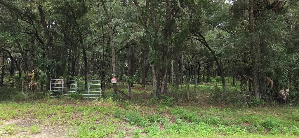 60th Ave, Chiefland, FL 32626 - #1