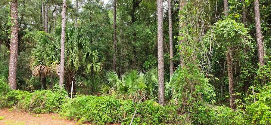 60th Ave, Chiefland, FL 32626 - #2