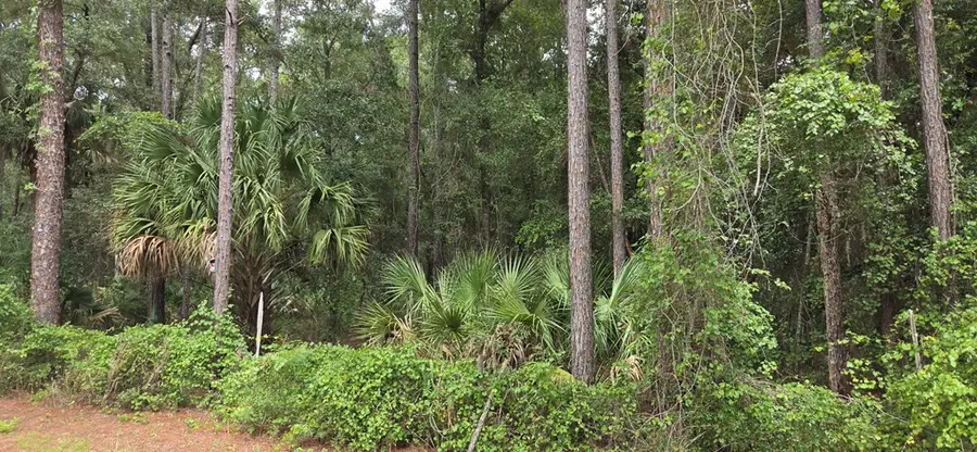 60th Ave, Chiefland, FL 32626 - #3