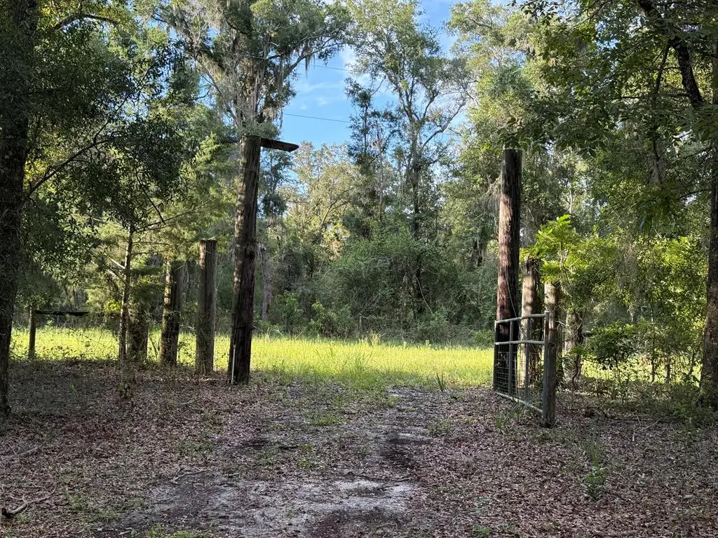 79 NE 489th St, Old Town, FL 32680 - #1