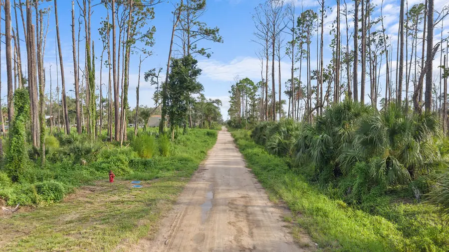Lot 16 NW Stephens St, Steinhatchee, FL 32359 - #2