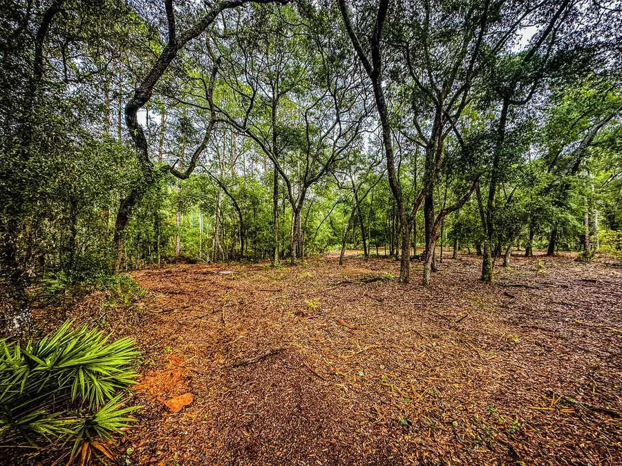 County Road 232, Bell, FL 32619 - #2