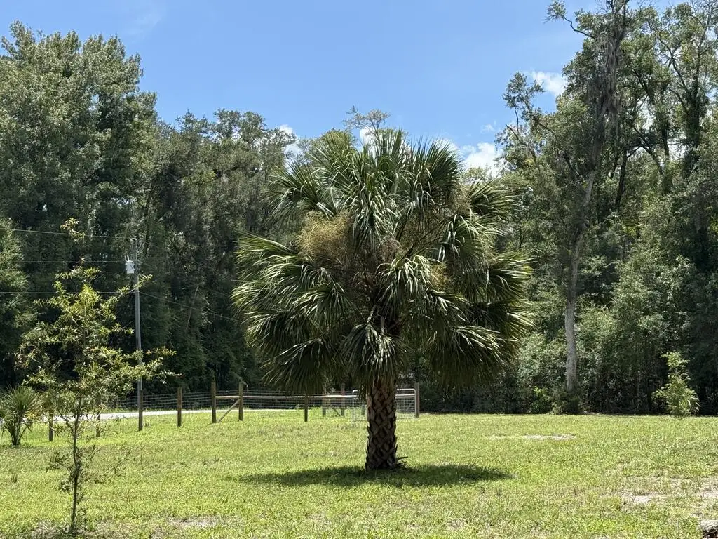110 NE 558th St, Old Town, FL 32680 - #1