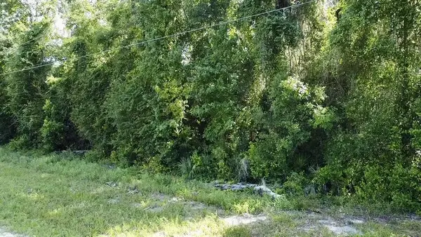 167 NE 396th St, Old Town, FL 32680