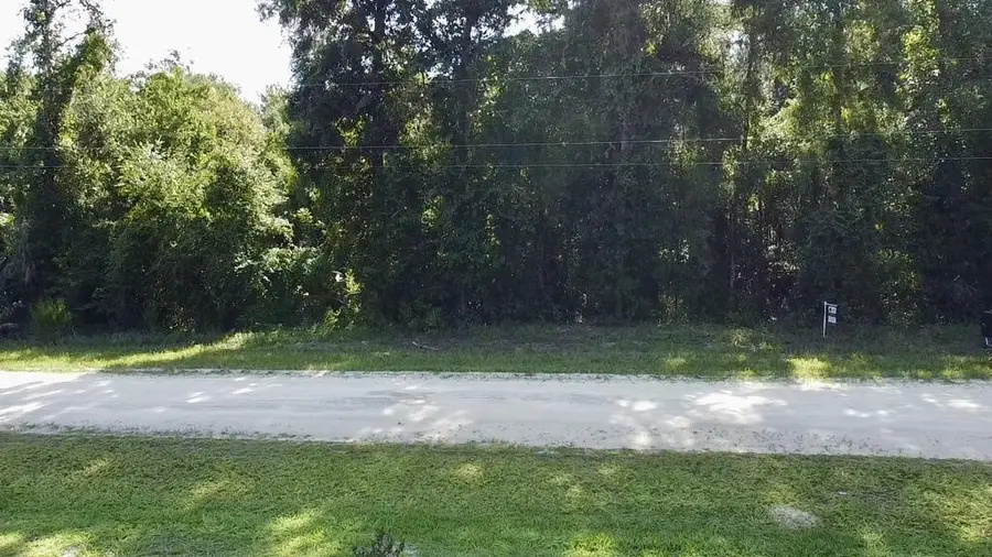 167 NE 396th St, Old Town, FL 32680 - #2