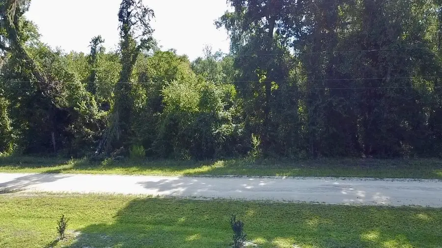 167 NE 396th St, Old Town, FL 32680 - #3