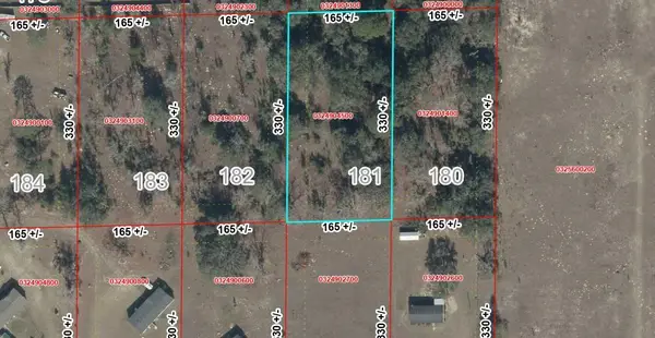 Lot 181 NE 101st St, Archer, FL 32618
