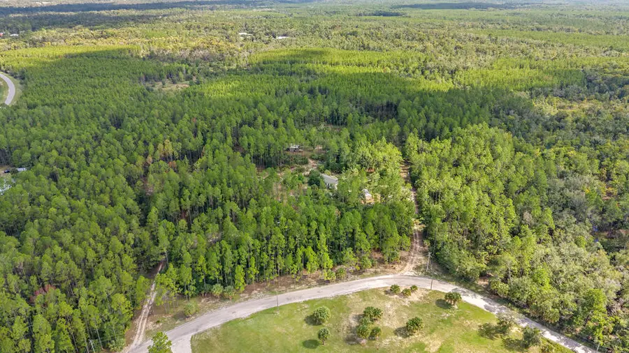 702 SW 345th Ave, Steinhatchee, FL 32359 - #3