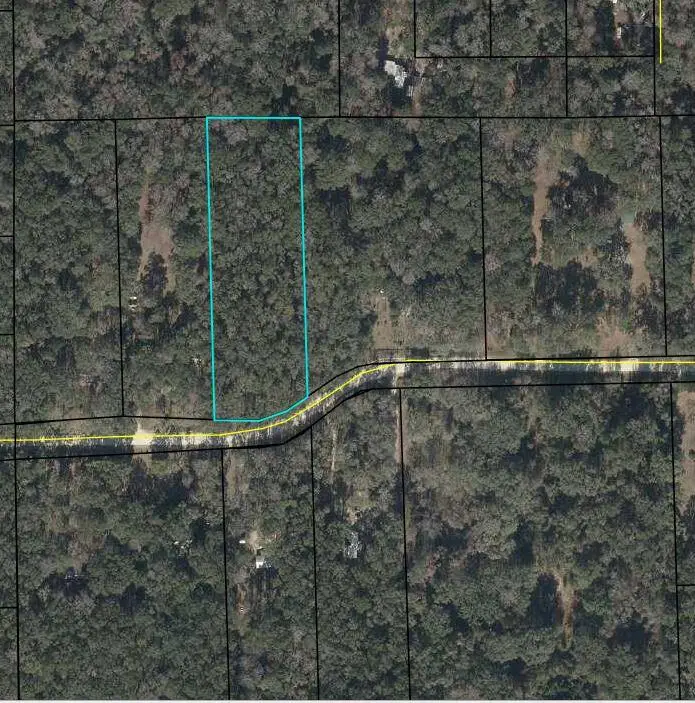 TBD NE 173rd Ave, Old Town, FL 32628 - #1