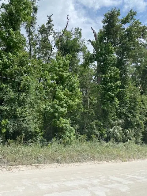TBD NE 173rd Ave, Old Town, FL 32628 - #3