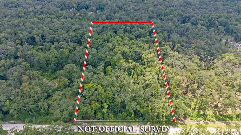 NE 262nd Ave, Old Town, FL 32680 - #1