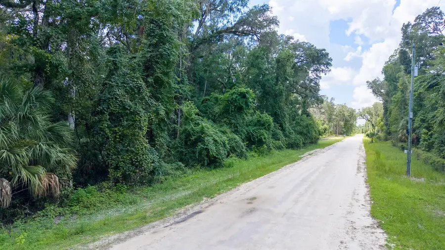 NE 262nd Ave, Old Town, FL 32680 - #2