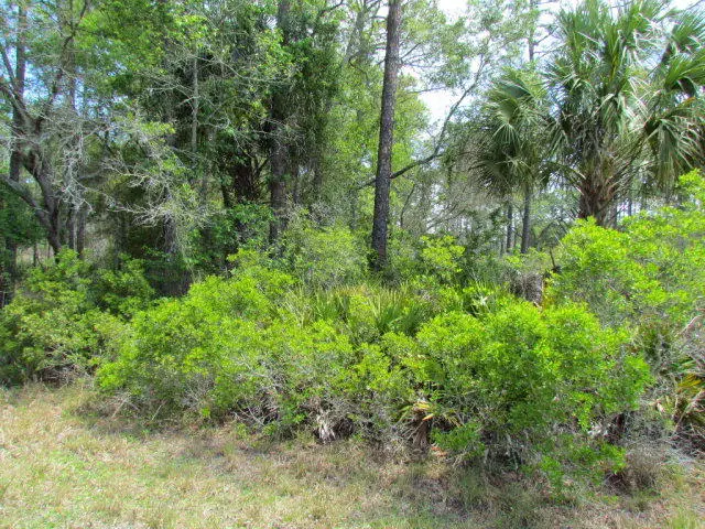 TBD SE Us Hwy 19, Inglis, FL 34449 - #1