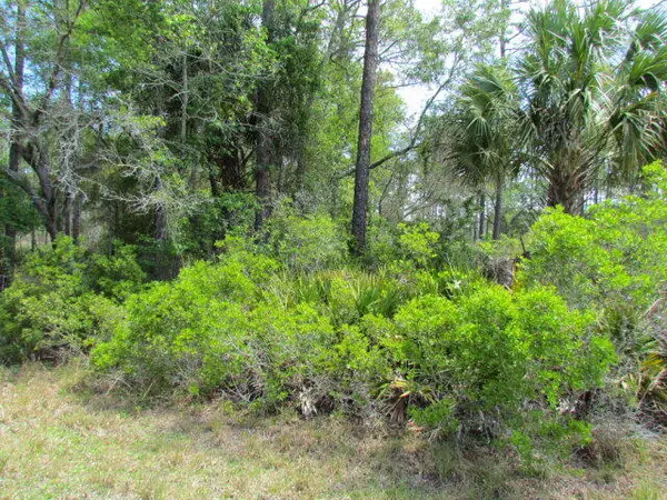 TBD SE Us Hwy 19, Inglis, FL 34449