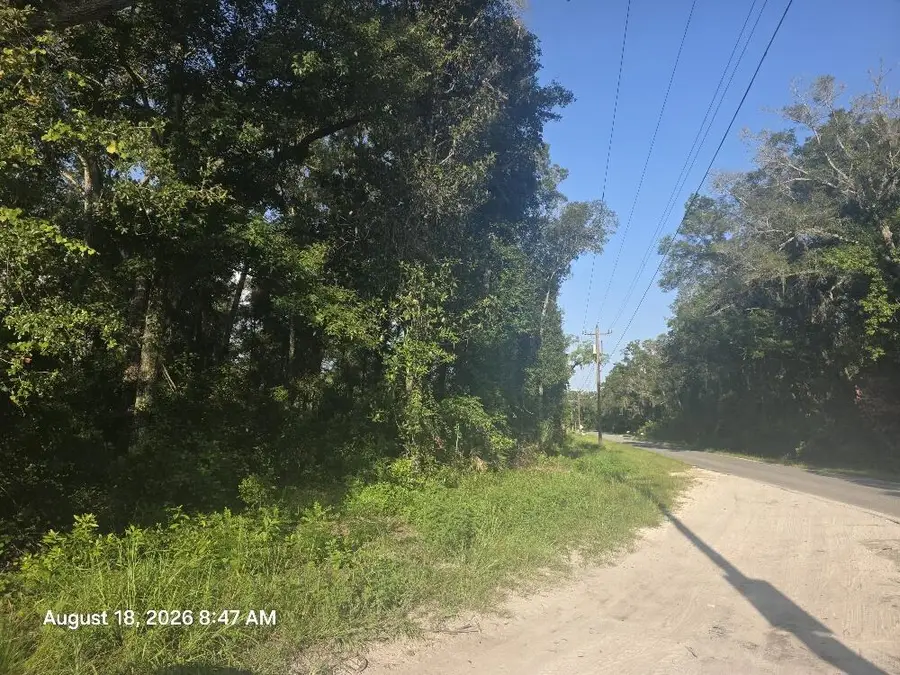 TBD NE 592nd St, Old Town, FL 32680 - #3