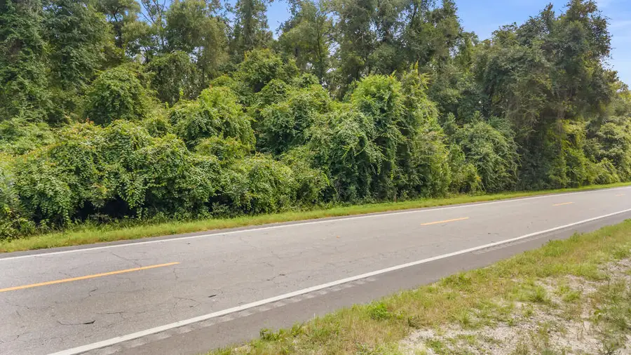 000 NE 592nd St, Old Town, FL 32680 - #3