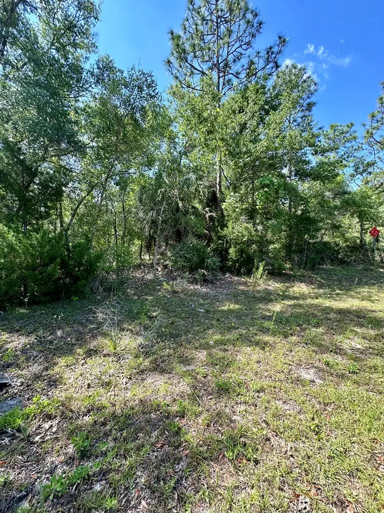 00 NE Willstone Way, Steinhatchee, FL 32359 - #2