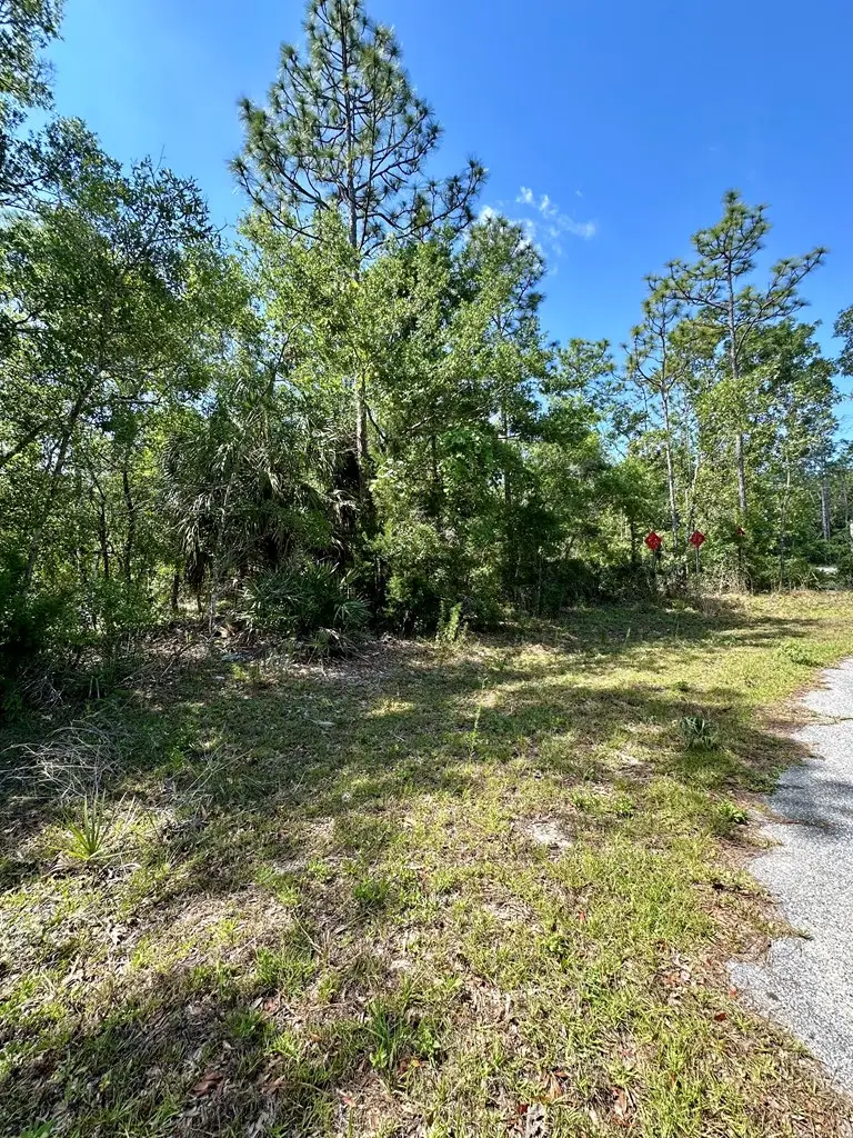 00 NE Willstone Way, Steinhatchee, FL 32359 - #3