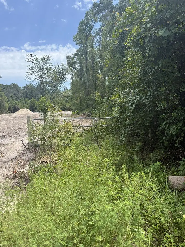 LOT 30 NE 592nd St, Old Town, FL 32680 - #1