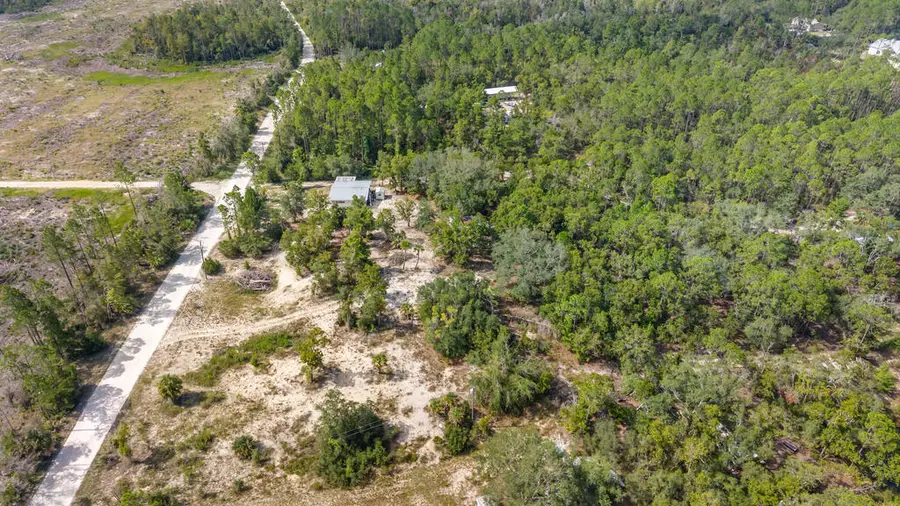 458 623rd St, Steinhatchee, FL 32359 - #3