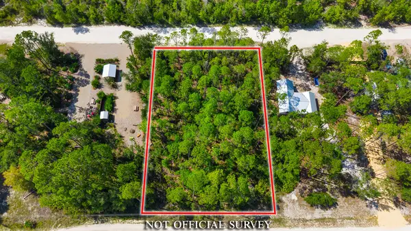 0 NE Sugar Hill Ln, Steinhatchee, FL 32359