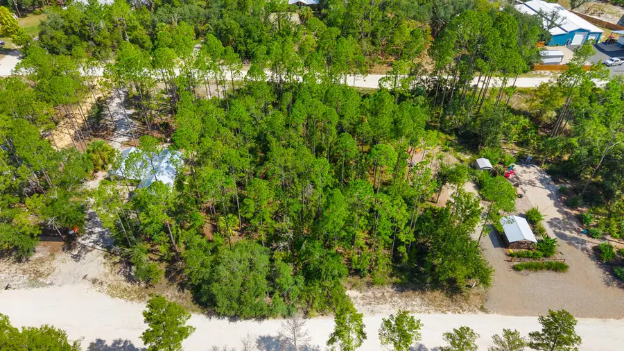 0 NE Sugar Hill Ln, Steinhatchee, FL 32359 - #3