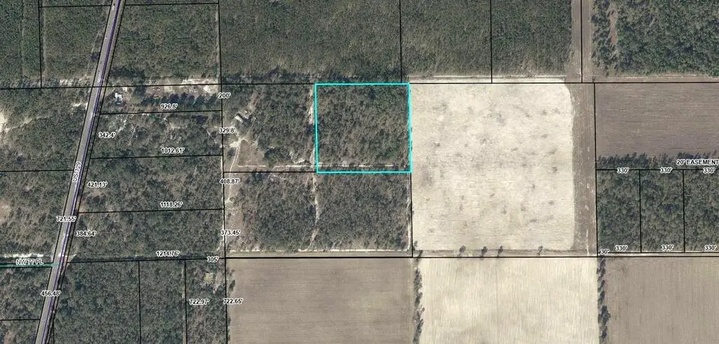 10.72A N Us Hwy 129, Bell, FL 32619 - #1