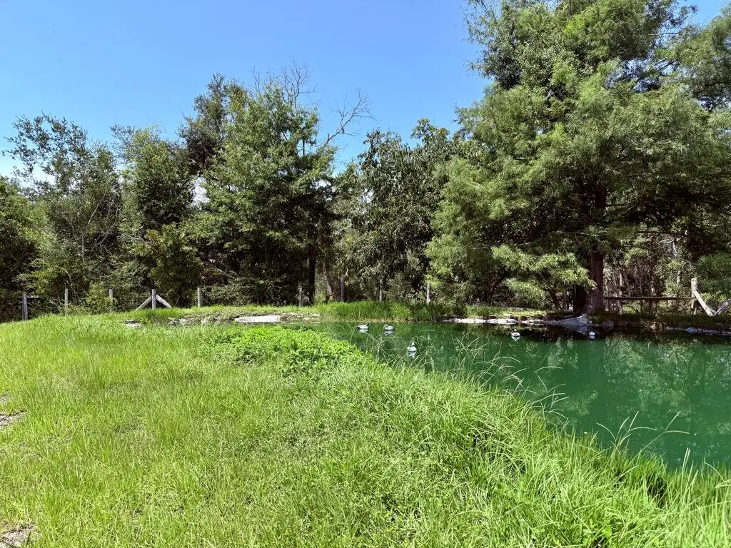 15541 Breeze Dr, Perry South, FL 32348 - #1
